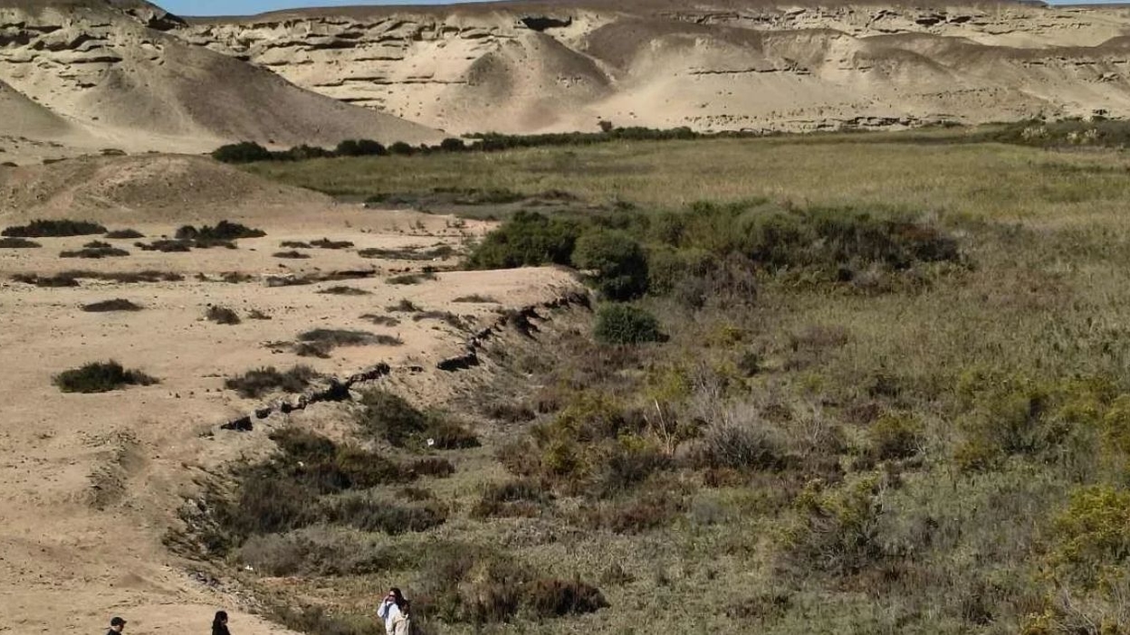 UDA impulsa banco de microorganismos de Atacama para minería sustentable y remediación ambiental