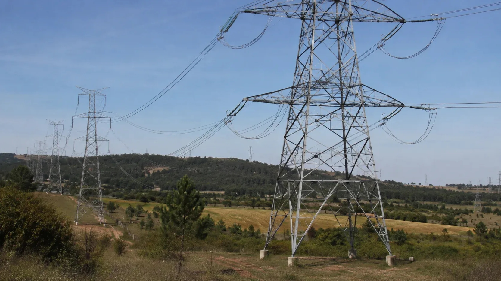 Comisión Ambiental del Maule rechaza interconexión eléctrica de Enel por impactos en biodiversidad y turismo