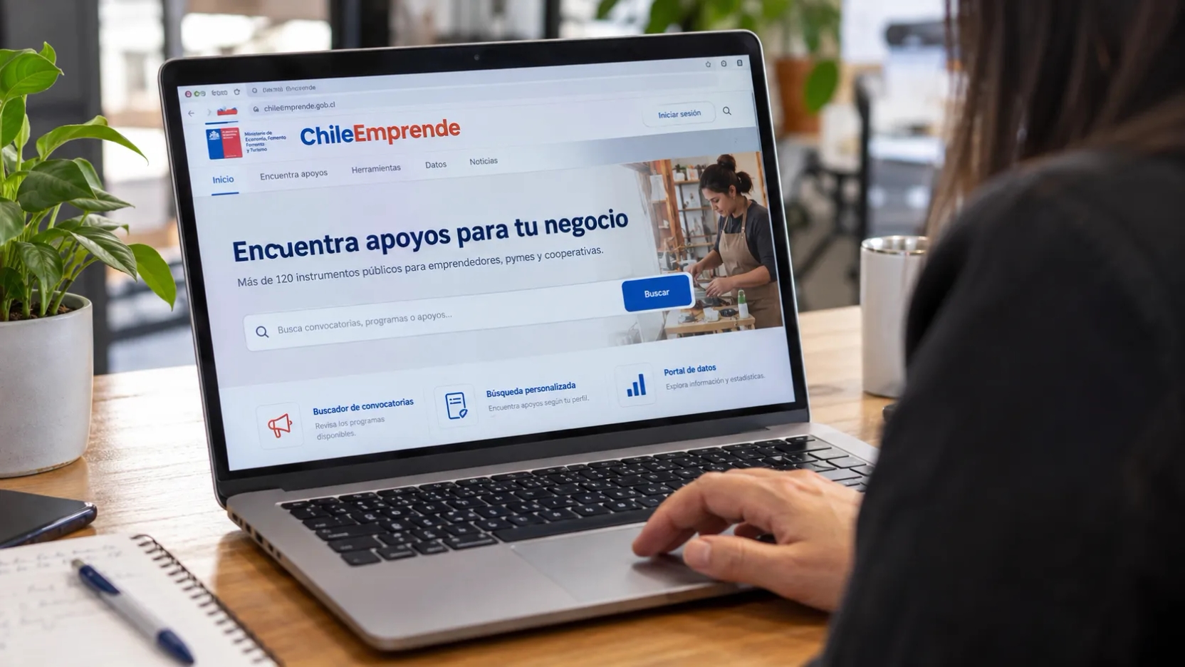 Más de 120 instrumentos públicos para emprendedores: cómo encontrar financiamiento y apoyo para tu empresa en Chile Emprende