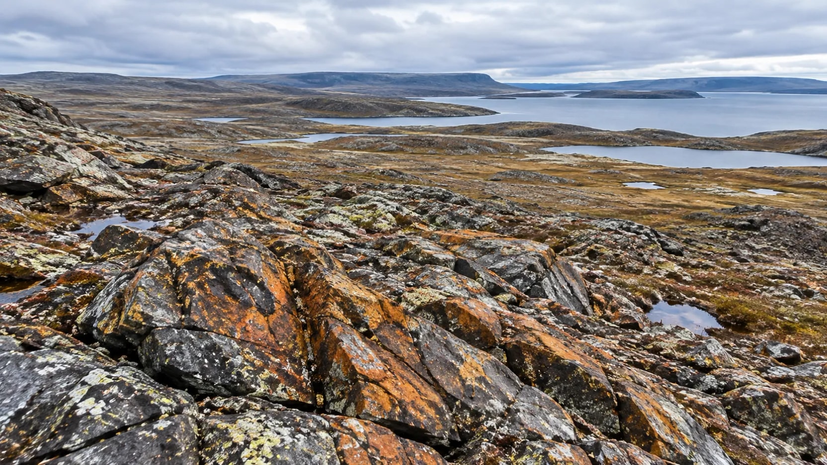Canadá: SPC Nickel identifica grandes anomalías de cobre y níquel a 2.000 metros de profundidad en proyecto Muskox 