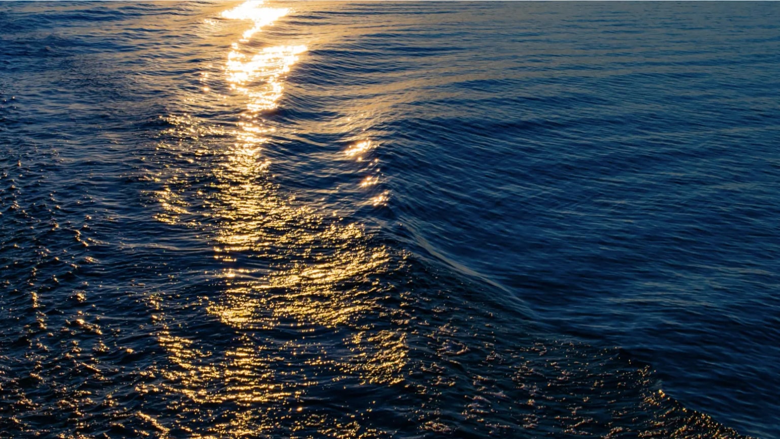 Existe oro en el agua del mar, pero extraerlo cuesta mucho más de lo que vale
