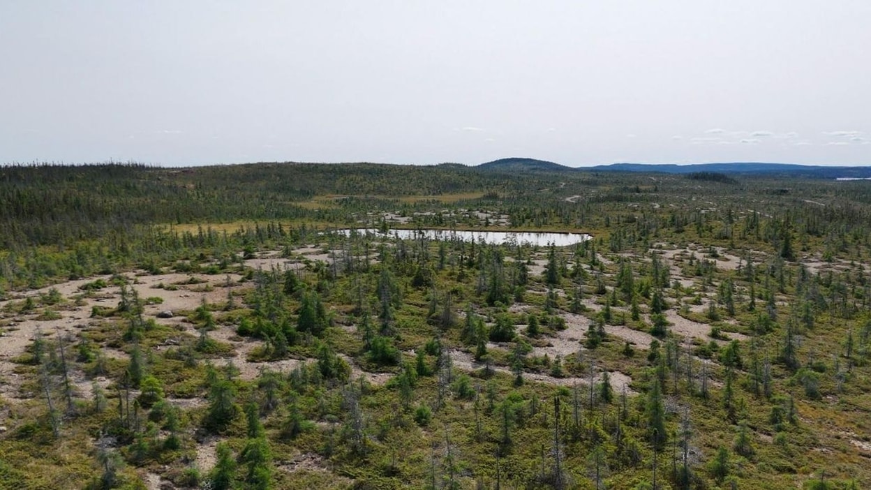 Vema y First Atlantic firman acuerdo para evaluar hidrógeno mineral en proyecto de níquel-cobalto en Canadá