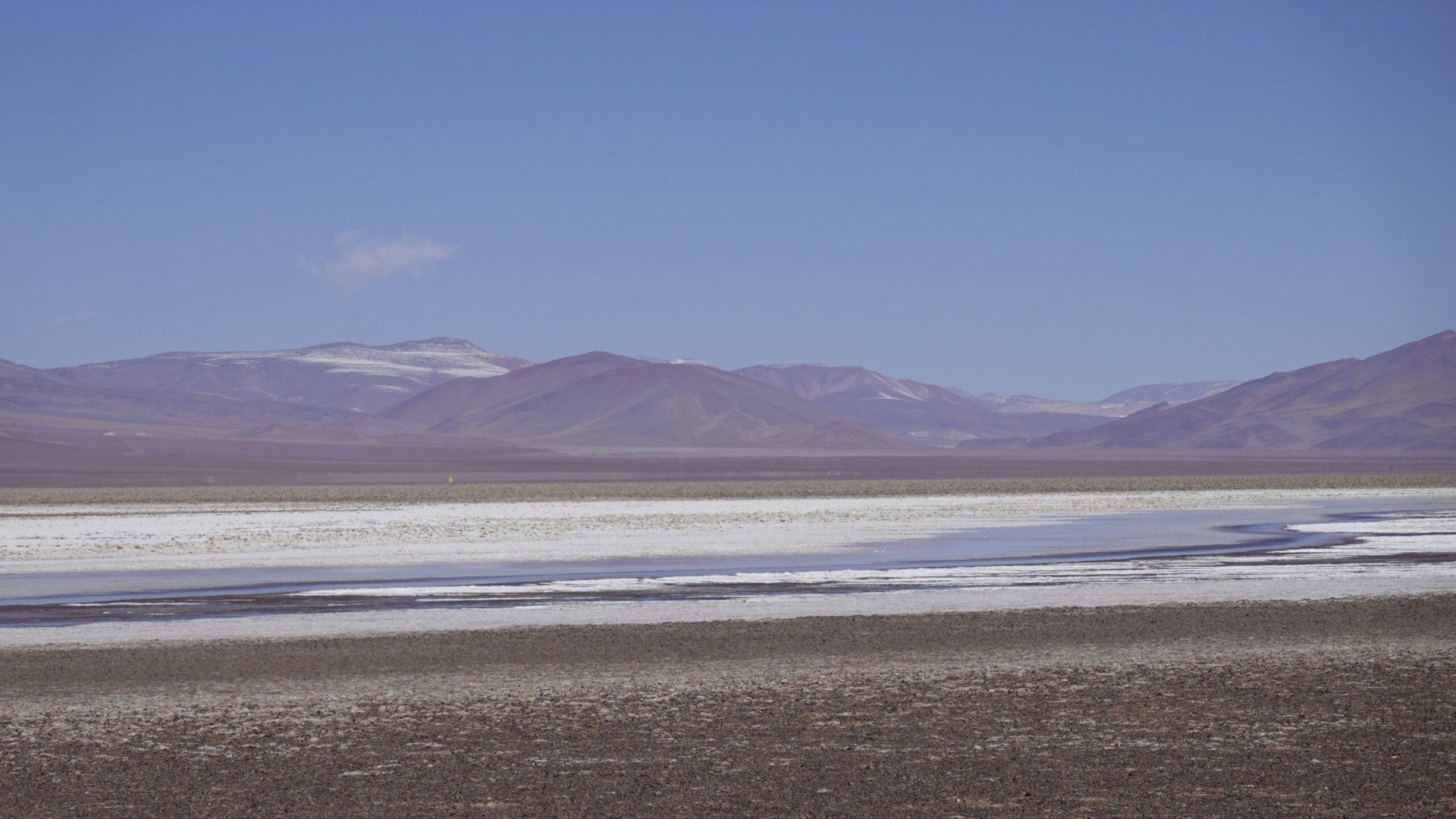 Salares Altoandinos: inversión en litio que puede transformar Atacama