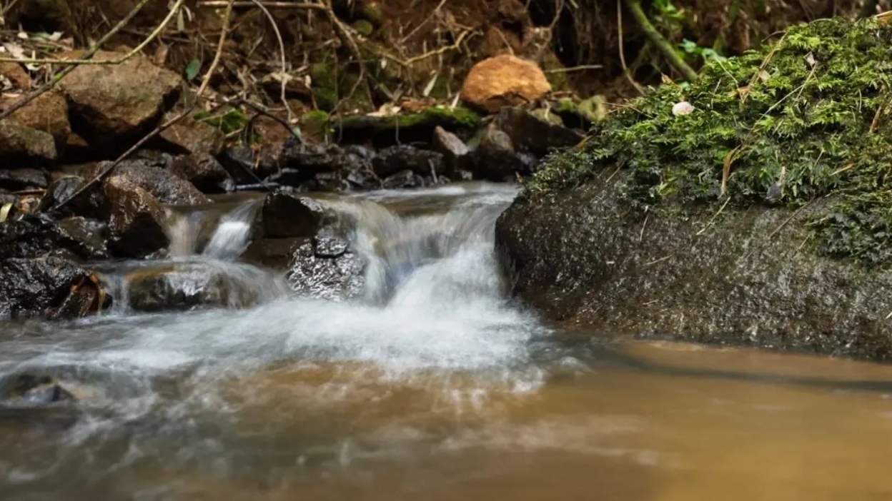 Aclara adelanta renuncia a todos sus derechos de agua: empresa ya no posee derechos hídricos