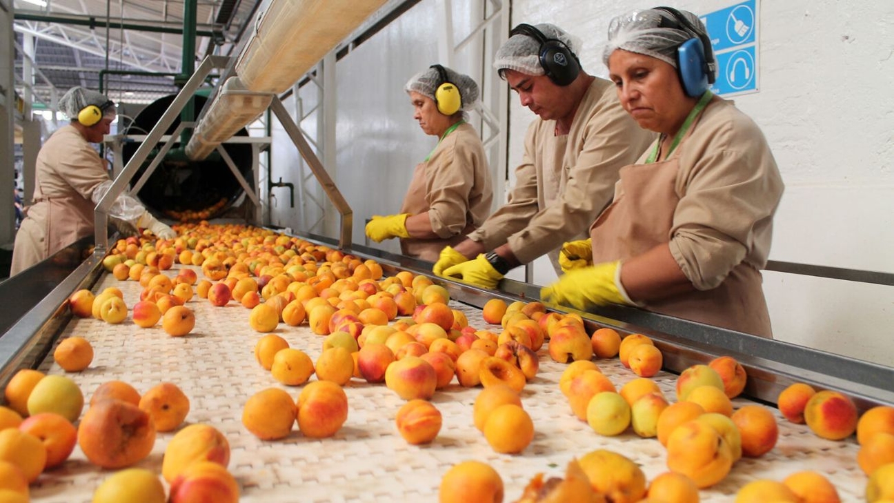 Aconcagua Foods Ofrece Nuevas Oportunidades Laborales en la Región Metropolitana: Postula a Diversas Posiciones con Salarios Competitivos