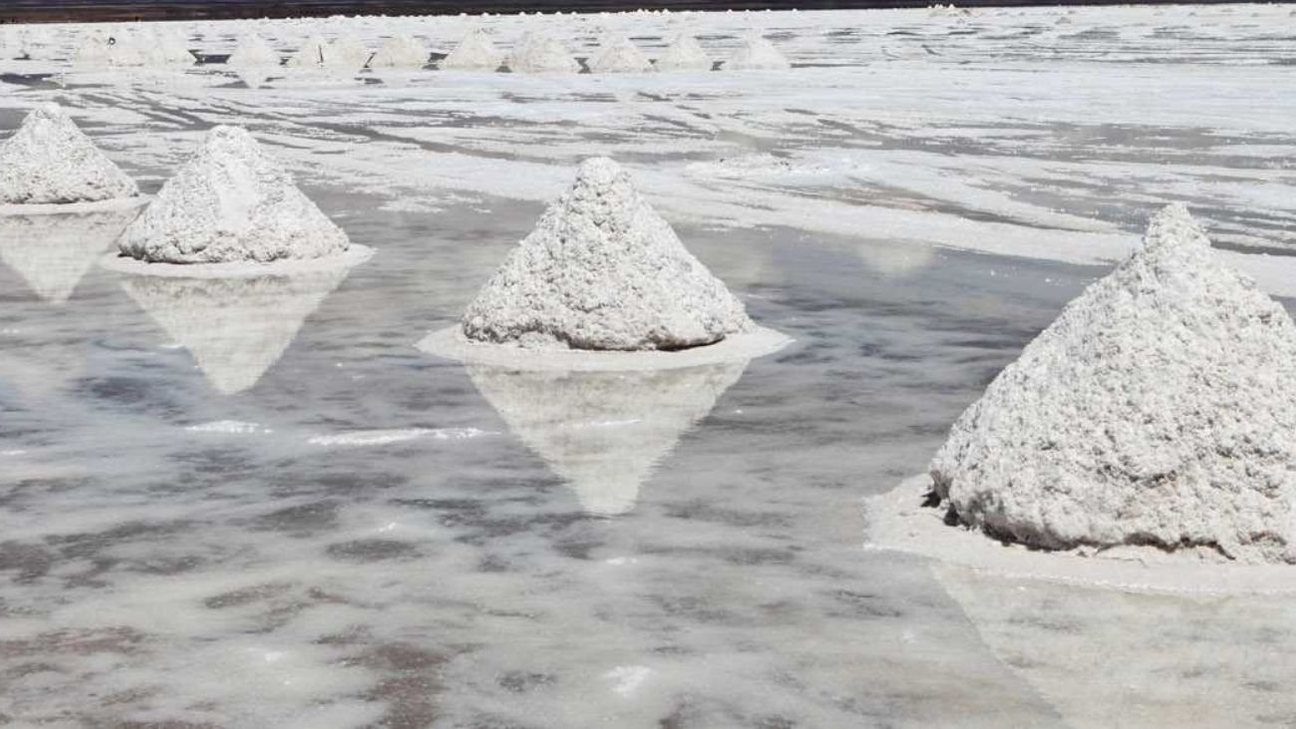 Alianza entre EMP Metals y Saltworks revoluciona la industria con nueva planta de litio en Canadá, proyectando altos rendimientos económicos