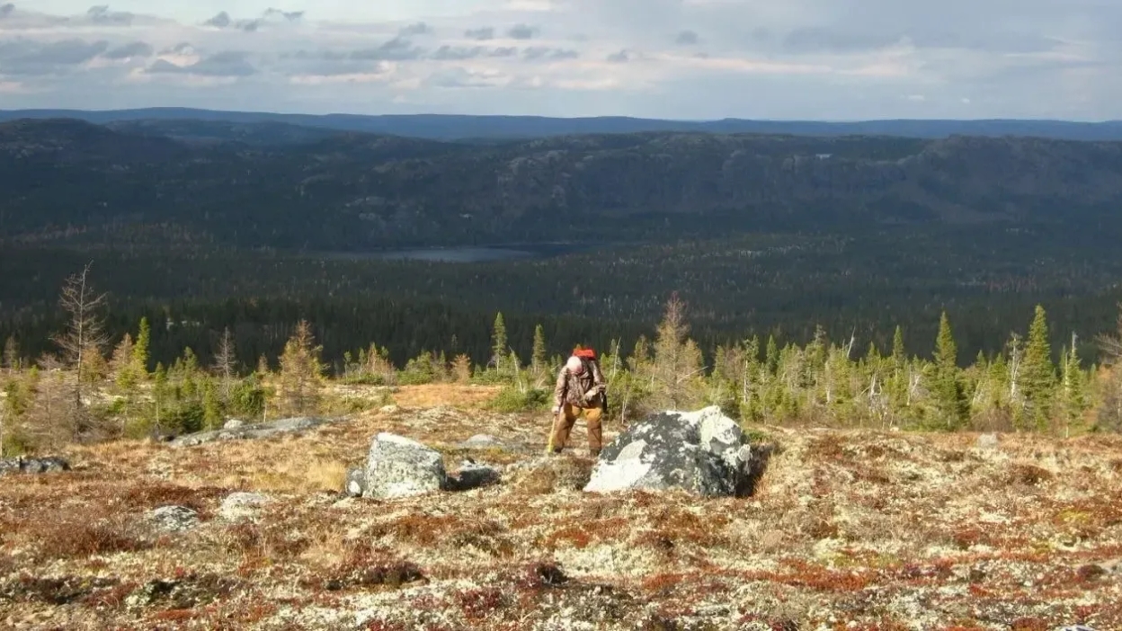 Altius Minerals adquiere 9,9% de TNR Gold por US$4,2 millones y refuerza apuesta por regalías en cobre y litio