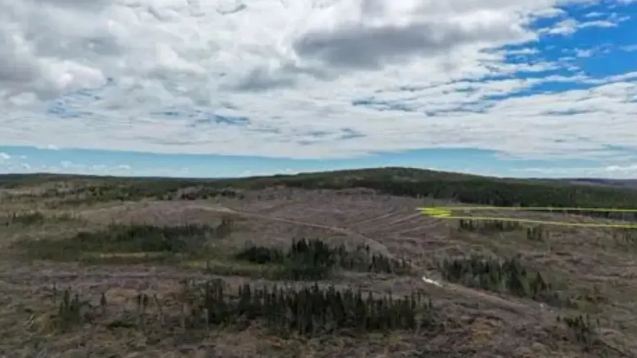 Anteros Metals informa de los resultados del ensayo del RM26-01 y ofrece una actualización de la exploración en el Proyecto de Minerales Críticos Seagull, Ontario