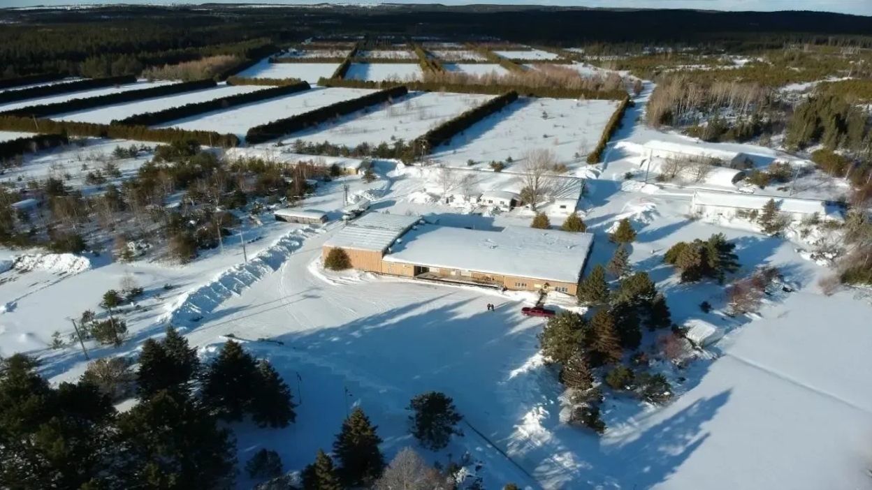 Ashley Gold firma exclusividad para el terreno adyacente al complejo Goliath Gold de NexGold Mining