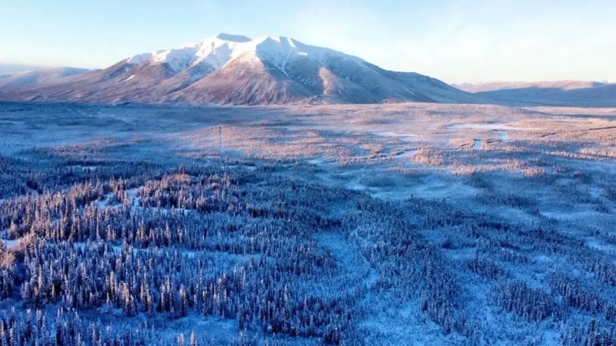 Banyan Gold Corp. sigue intersectando oro de alta calidad en Powerline, Depósito AurMac, Yukon, Canadá
