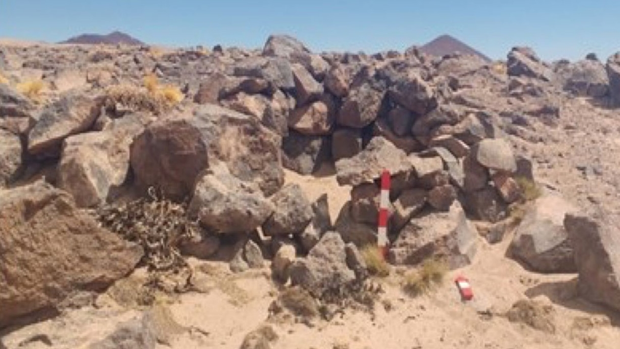 Bearing Lithium: El estudio de factibilidad definitivo confirma la perspectiva positiva para el proyecto de salmuera de litio de la etapa uno de Maricunga