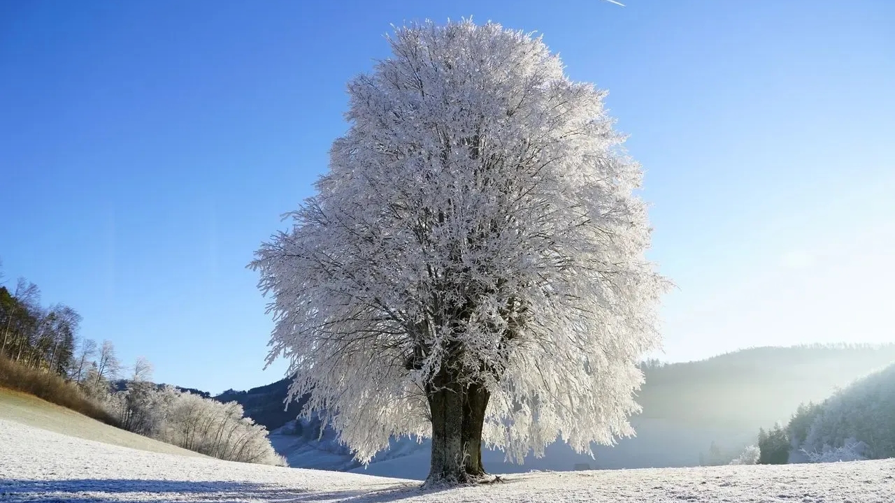 Bono de Invierno: Esta es la edad mínima para recibirlo