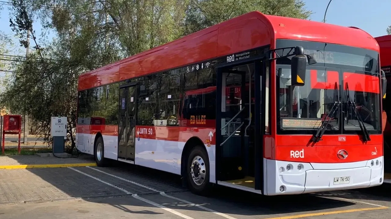 Buses RED: el cambio nocturno que sacará a las “orugas”