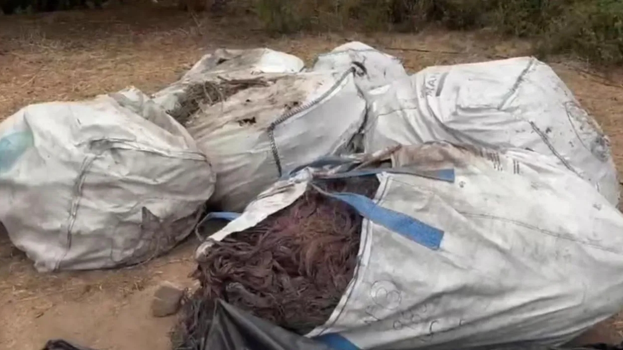Cobre robado: PDI incauta 5 toneladas avaluadas en $50 millones en operativo en Paine