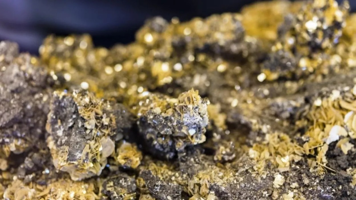 Colombia: Orosur Mining anuncia que el muestreo de El Cedro abre nuevos horizontes