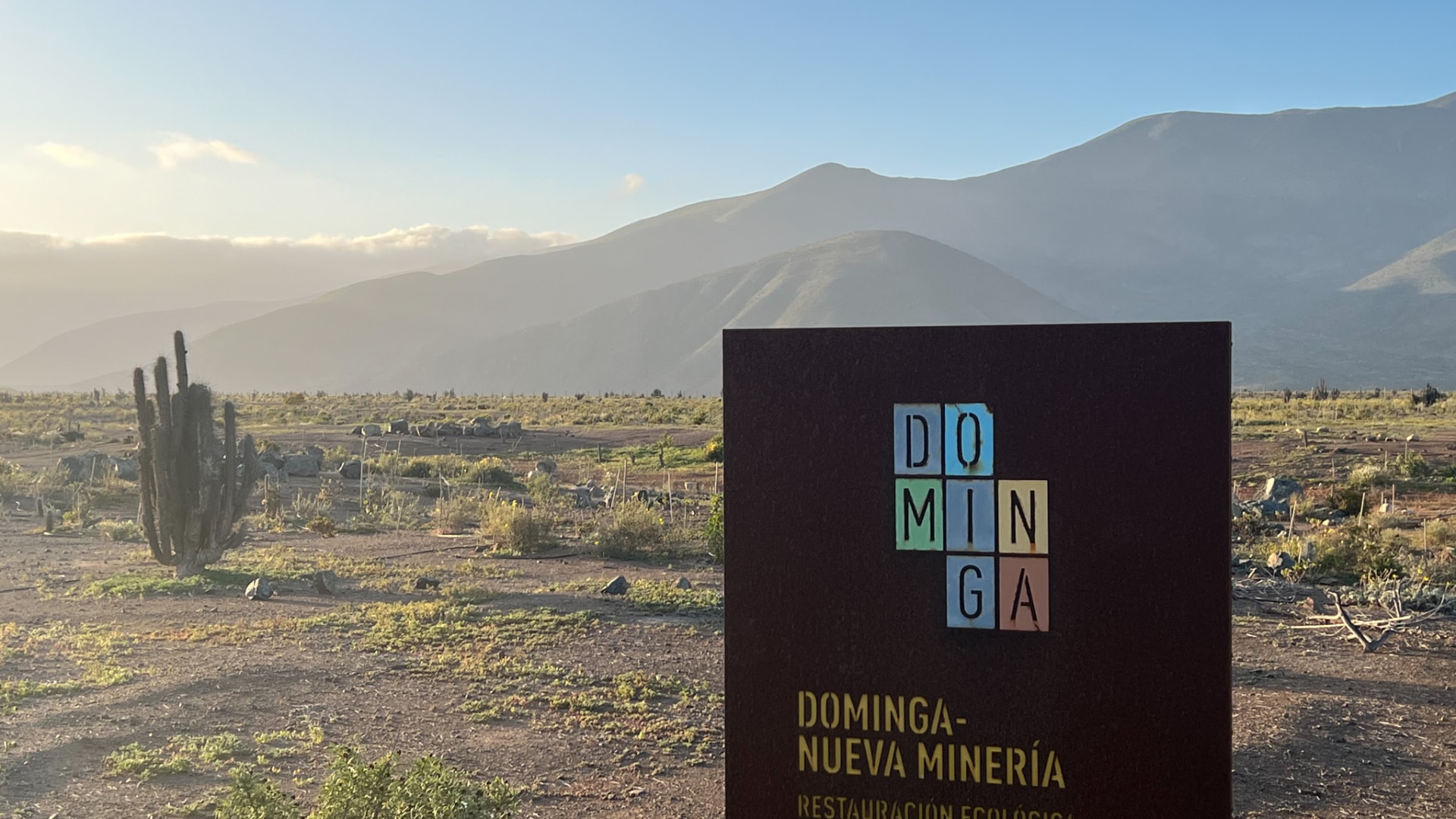 Comité de Ministros rechaza en forma unánime el proyecto minero Dominga