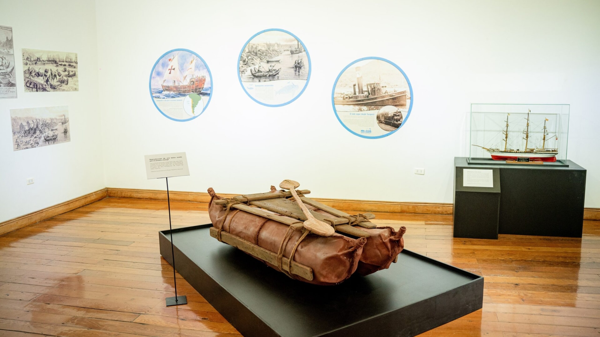 Con más de 8 mil 300 visitas finalizó muestra oceanográfica en Sala de Arte Casa Collahuasi