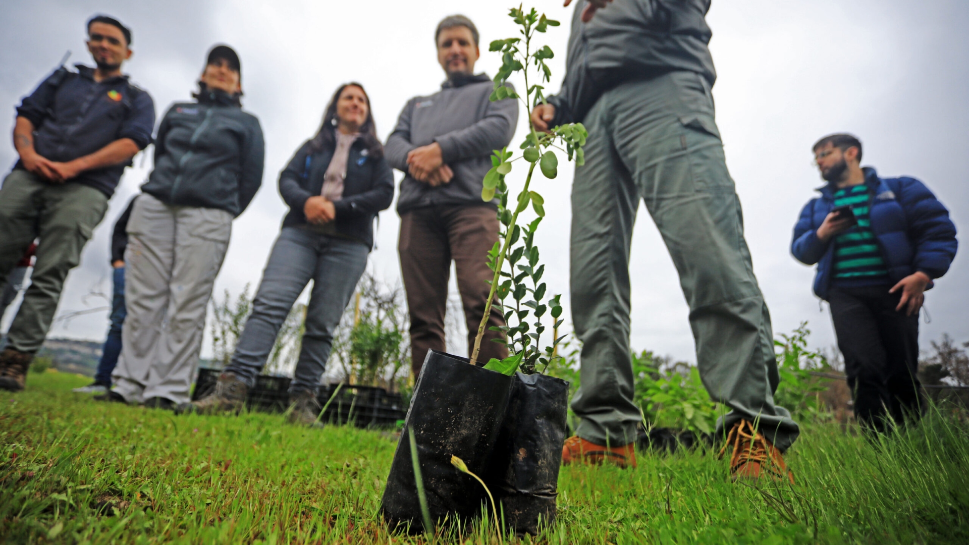 Desafío Levantemos Chile y más de 60 colaboradores de empresas del Consejo Minero reforestaron parte del Jardín Botánico de Viña del Mar