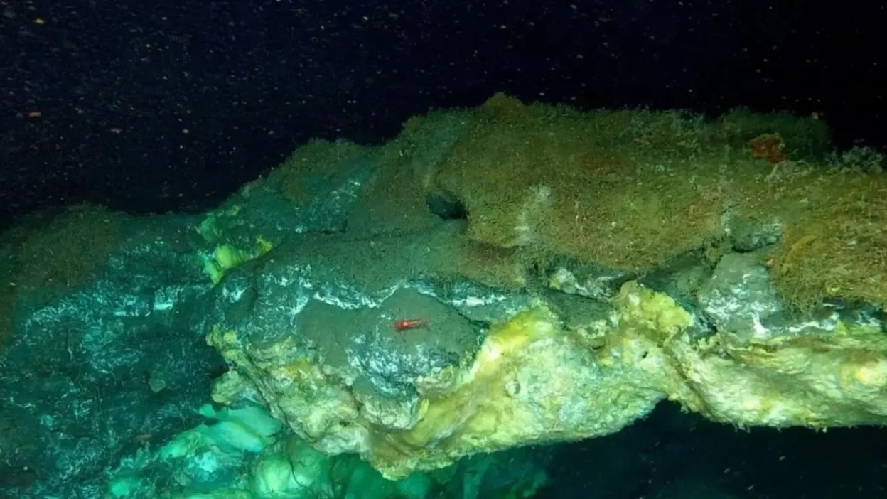 Descubren en el mar de Groenlandia las filtraciones de metano más profundas jamás registradas