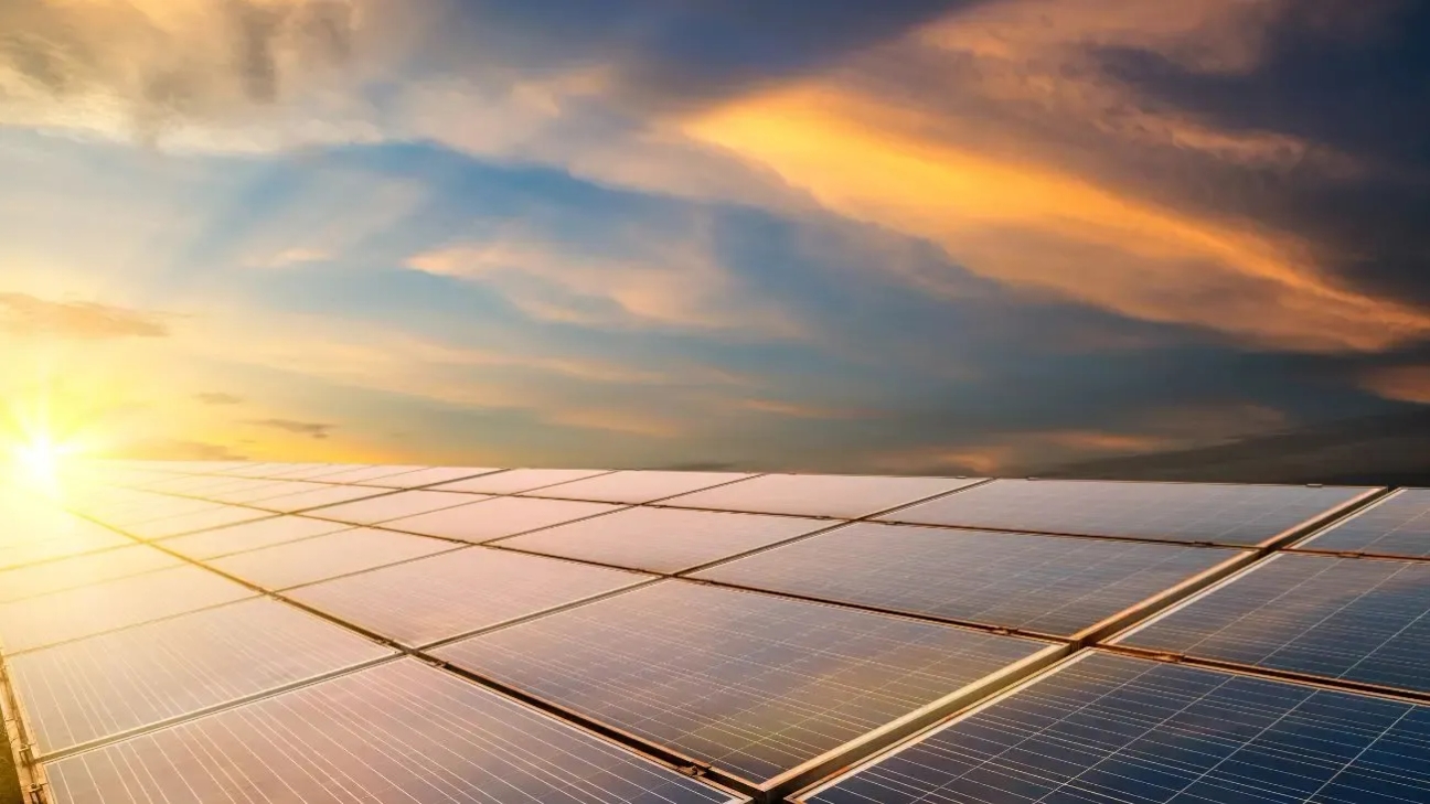 Dos veces verde: experimento en un desierto demostró que los paneles solares pueden restaurar ecosistemas