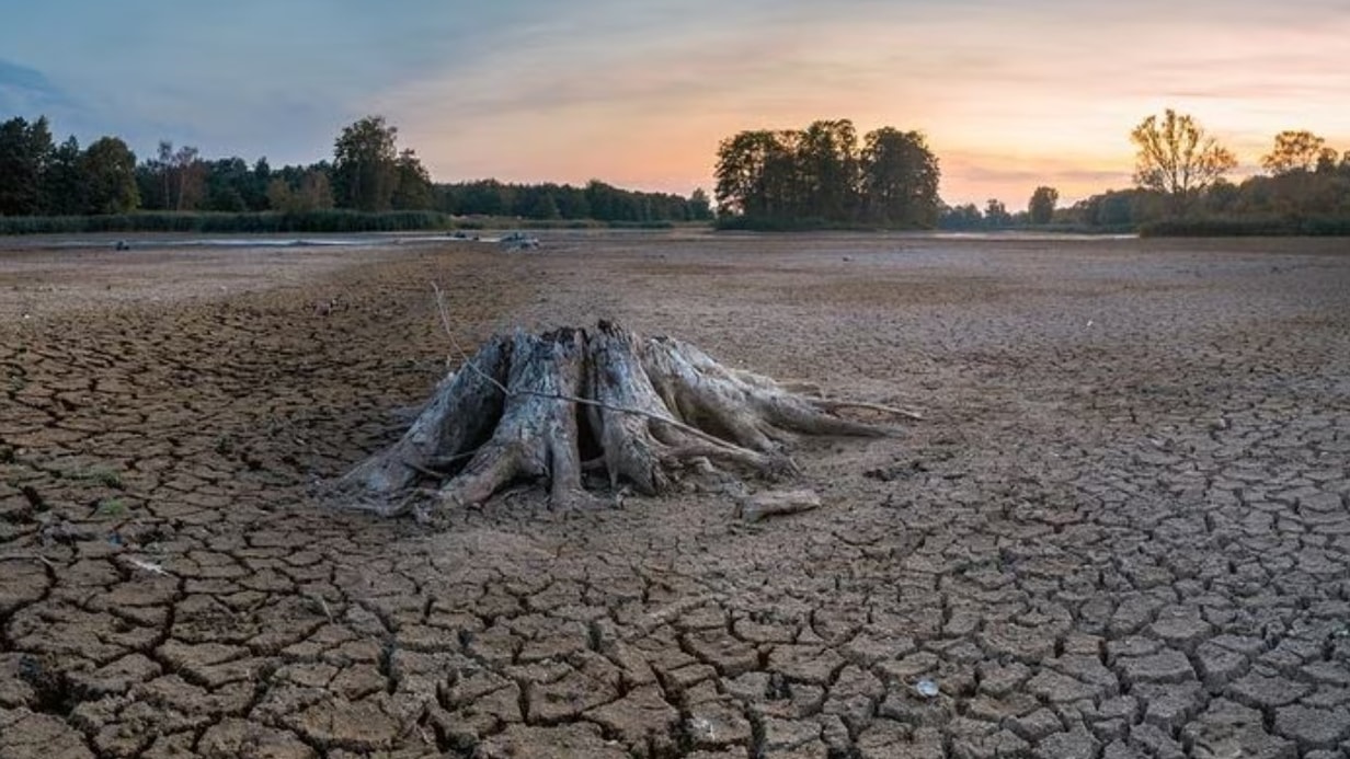 El futurista proyecto que combate la crisis hídrica ahorrando un 30% de agua