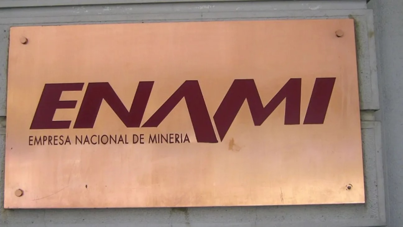Vicepresidente ejecutivo de Enami expone oportunidades de negocio en Sonami