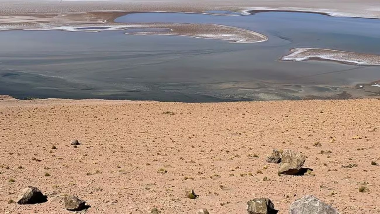 First Lithium Minerals revela resultados prometedores de litio y boro en el Proyecto Ascotan, Salar de Antofagasta