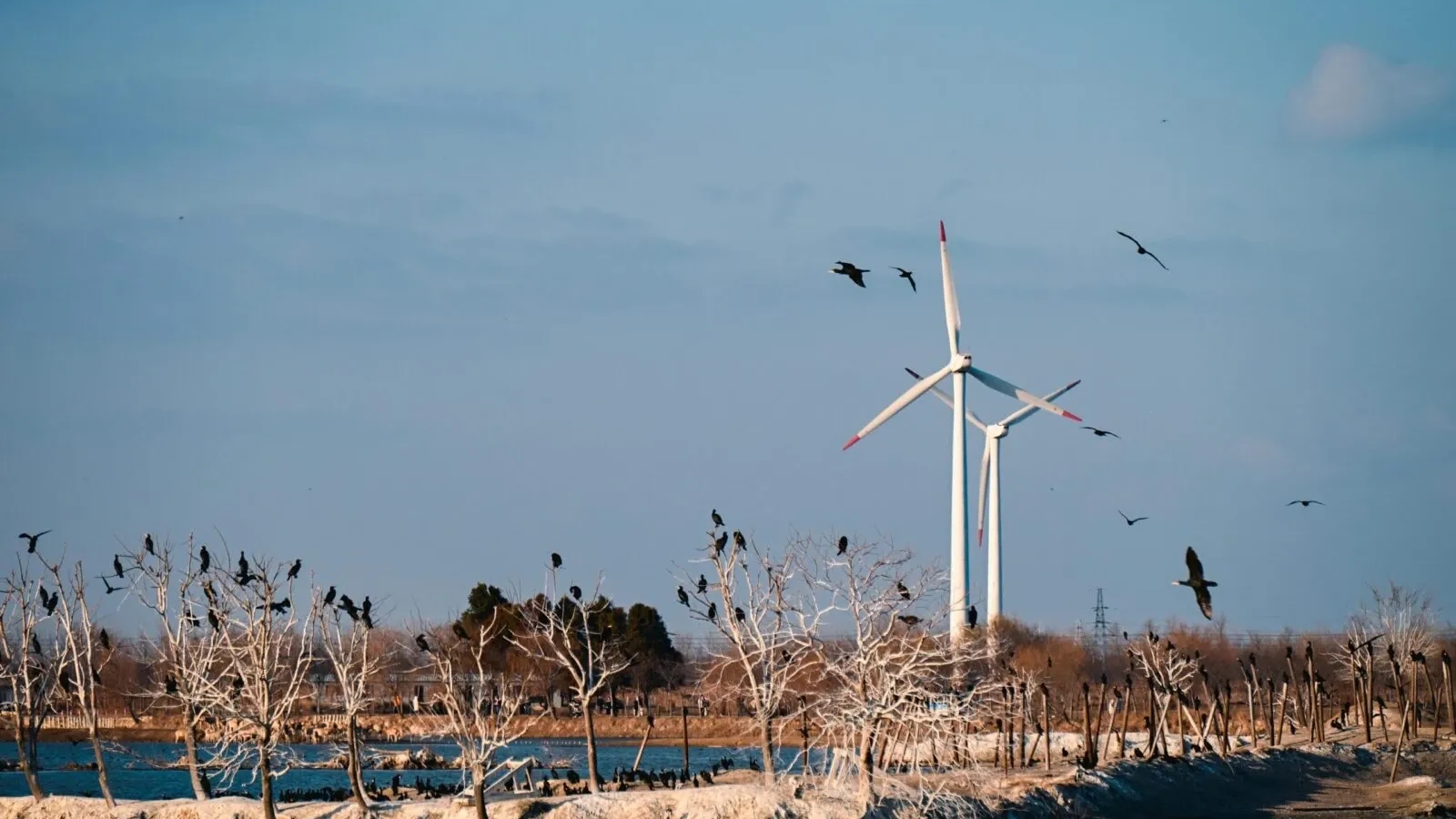 Generación eléctrica en América Latina llegó a 153 TWh en diciembre, con mayor respaldo térmico