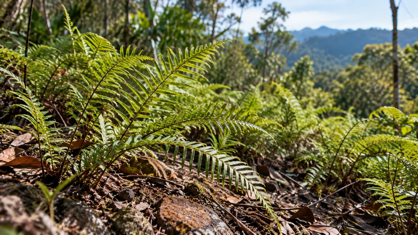 ¿Cultivar metales en lugar de extraerlos de una mina? Científicos avanzan en el uso de plantas para recuperar minerales críticos