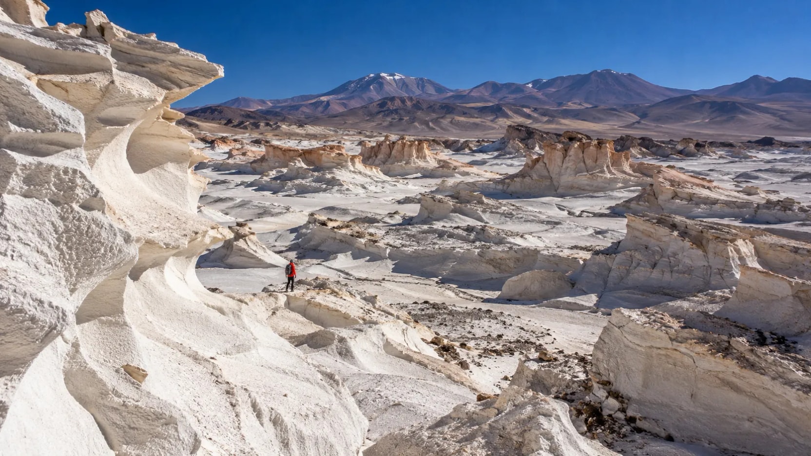 La roca blanca de la Puna tiene formas casi irreales: ¿qué las esculpió?