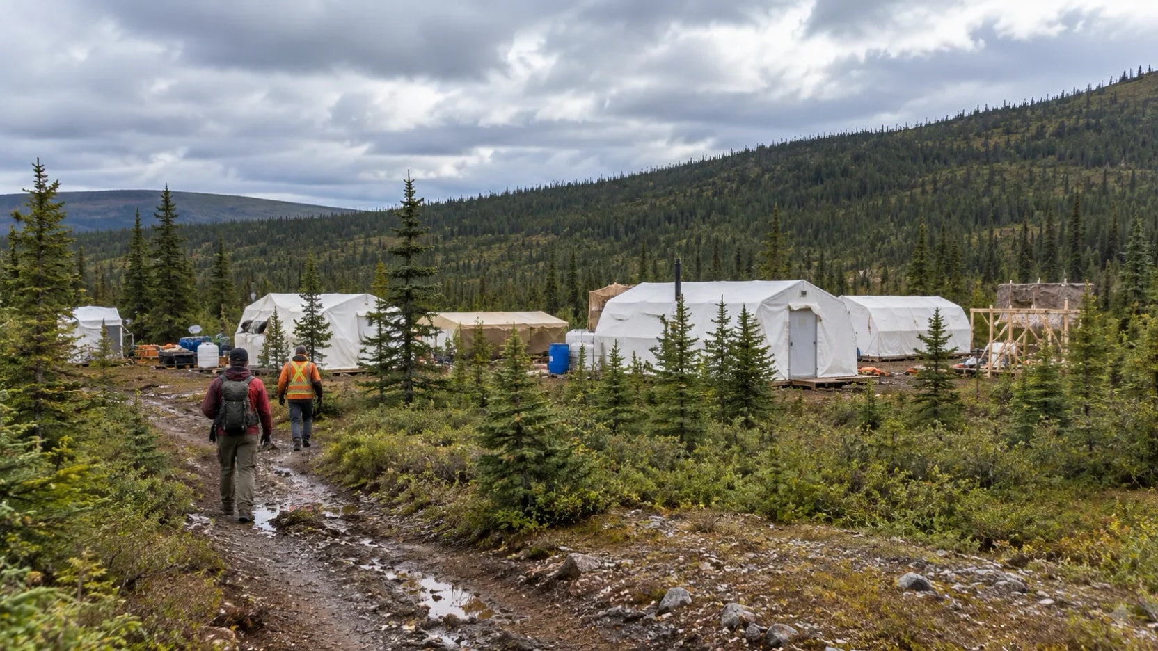 Canadá: Hi-View identifica anomalía de 1.000 metros con potencial de cobre, oro y plata en proyecto Black Pearl
