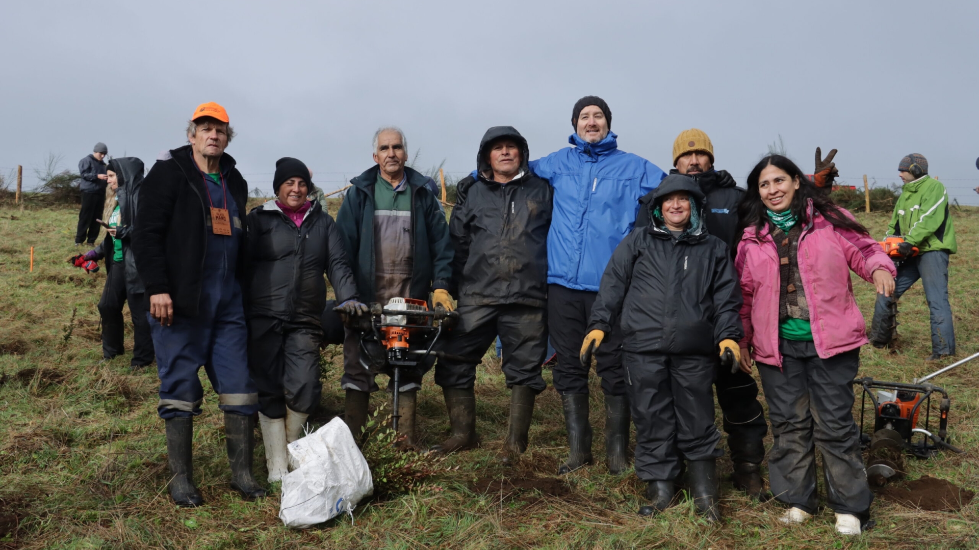 Industria minera se suma al voluntariado regenerativo del bosque nativo chilote