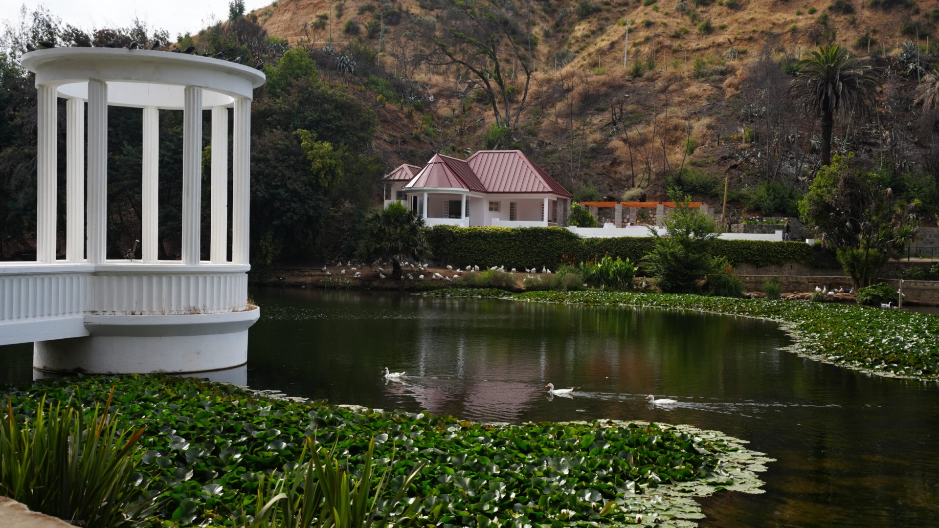 Jardín Botánico de Viña invita a visitar sus áreas verdes y espacios recreativos recuperados tras el megaincendio de hace un año