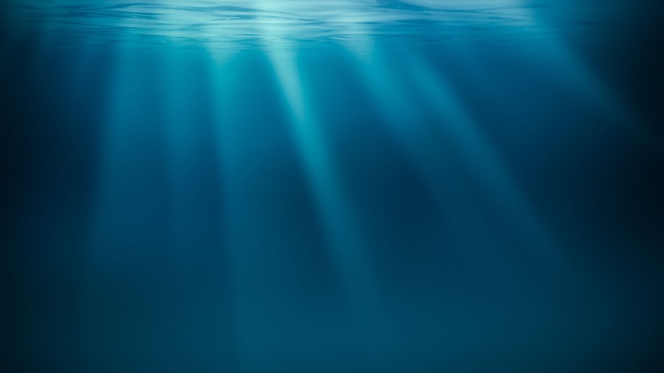 Minería en aguas profundas: ¿Un impulso insensato o una solución para la transición energética?