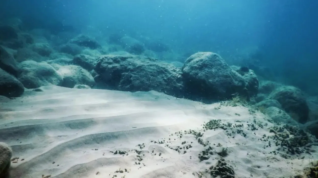Minería submarina: Deep Sea Minerals activa licencia en EE.UU. y acelera disputa global por nódulos polimetálicos