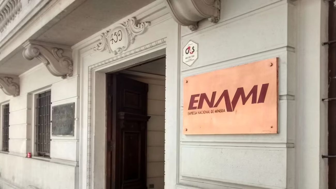 Ministra Aurora Williams Impulsa Modernización de Enami con Directrices de la OCDE para Mayor Transparencia en Minería