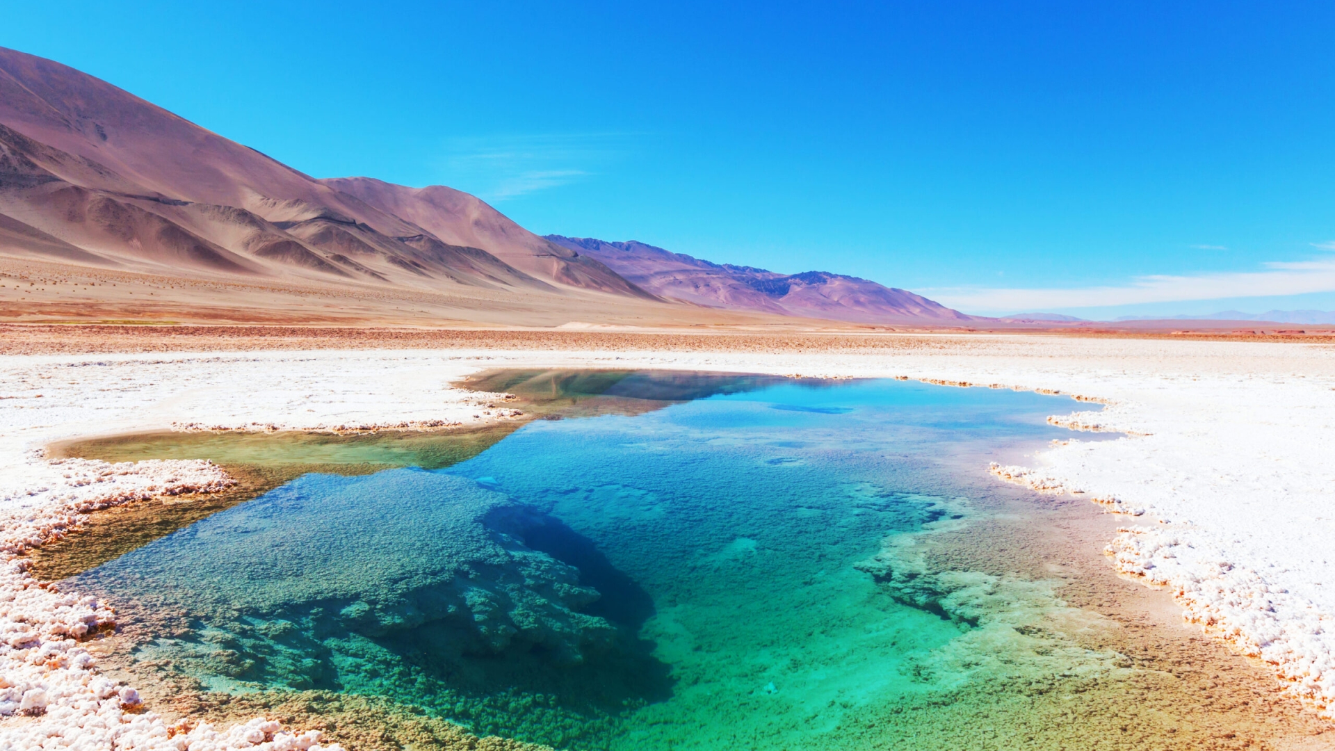 Parten pruebas en ambiente semireal para la extracción electroquímica de litio desde el Salar de Atacama
