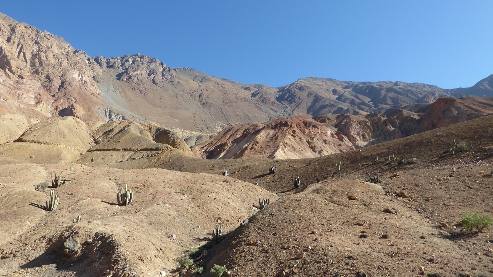 (Perú) Los recursos del elemento 29 proporcionan actualización para el proyecto de cobre Elida