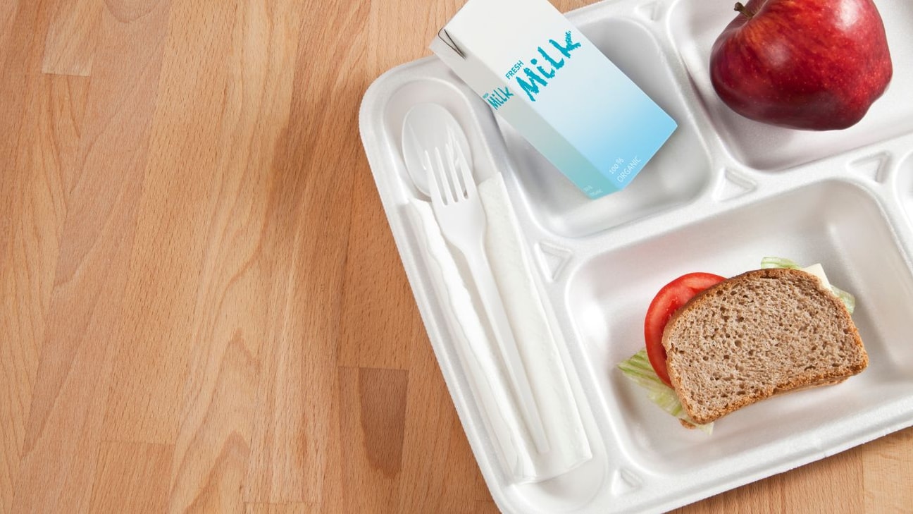 Programa de Alimentación Escolar en Chile: Clave para la Nutrición Diaria de Estudiantes