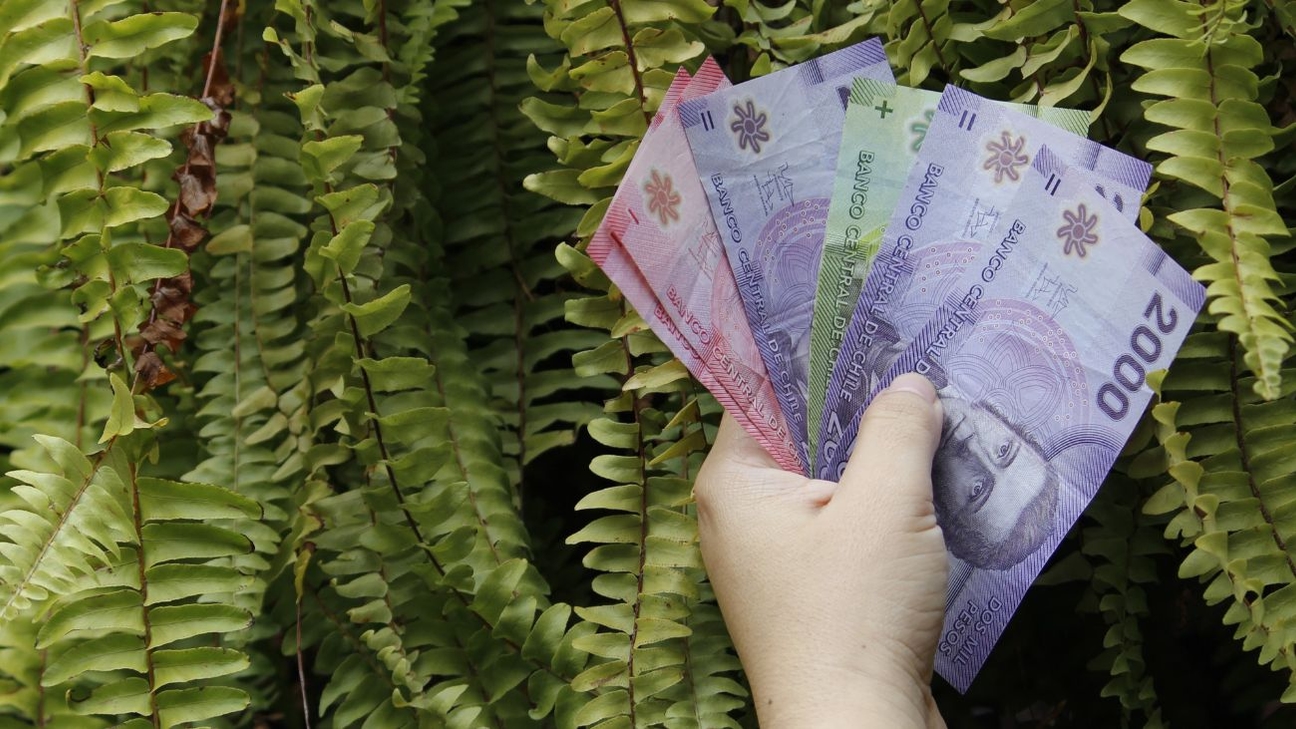 Salario Mínimo de Docentes en 2025: Incremento Significativo a $936.585 para Jornadas de 44 Horas