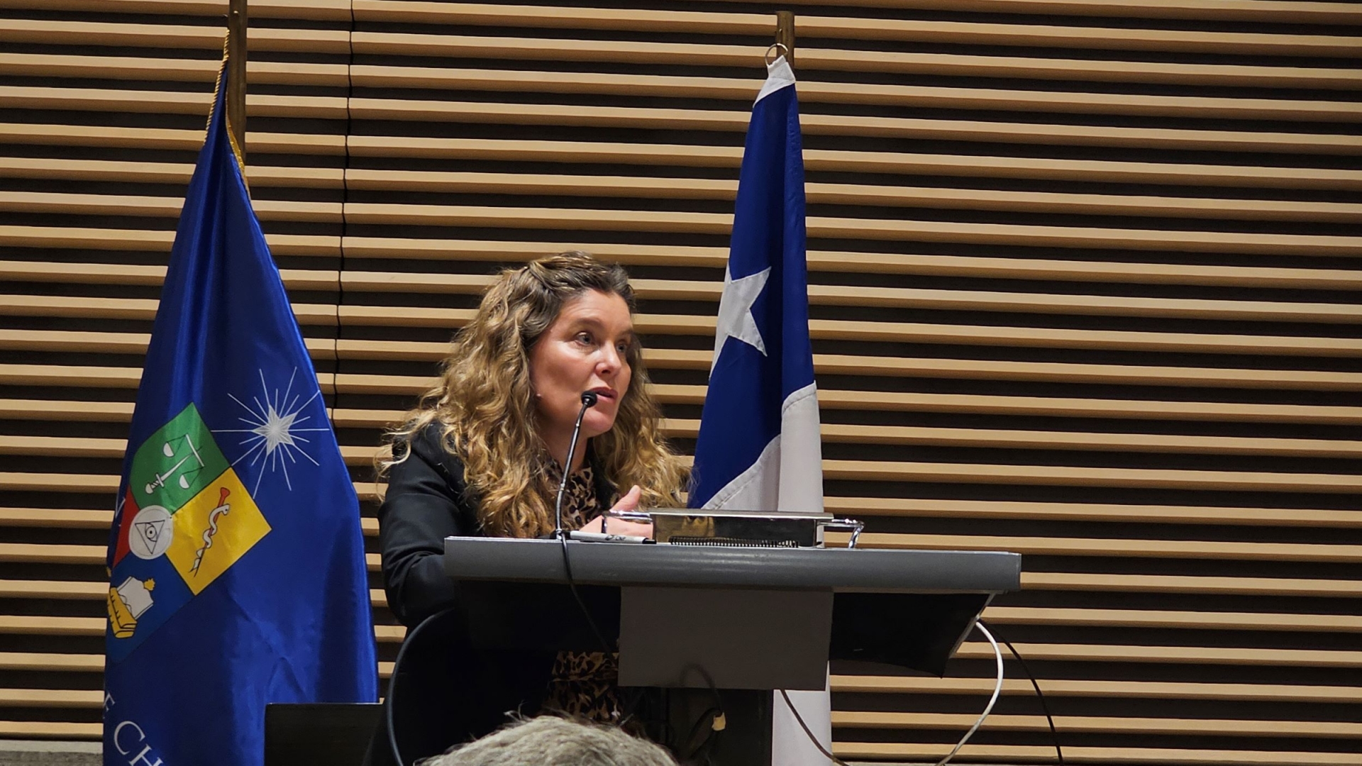 Seminario ampliado marca última etapa en la elaboración de los planes que impulsa el Minvu en materia de mitigación y adaptación al cambio climático para ciudades