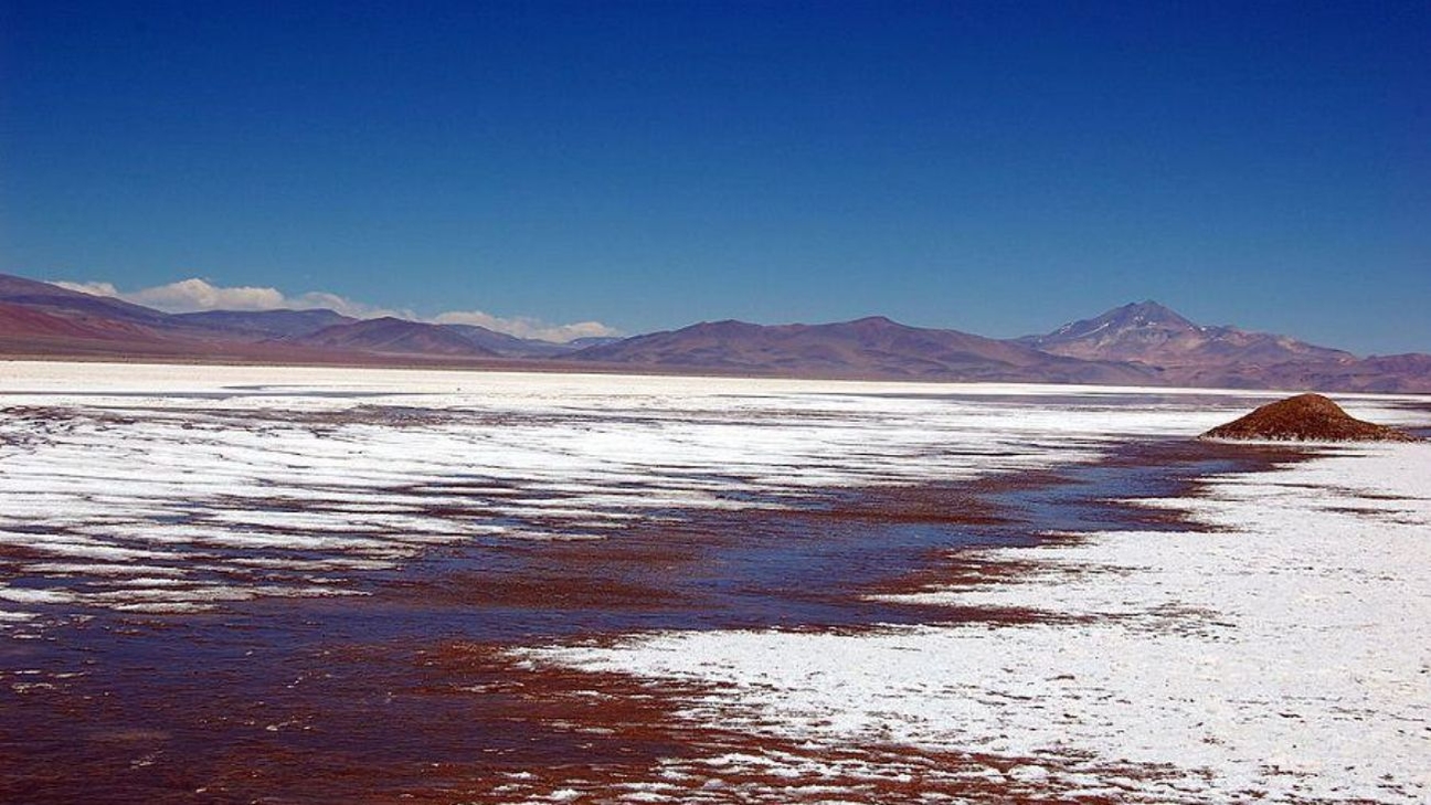 Simco y comunidad colla Pai Ote lanzan proyecto de litio sostenible en Maricunga con tecnología DLP y una inversión de US$600 millones