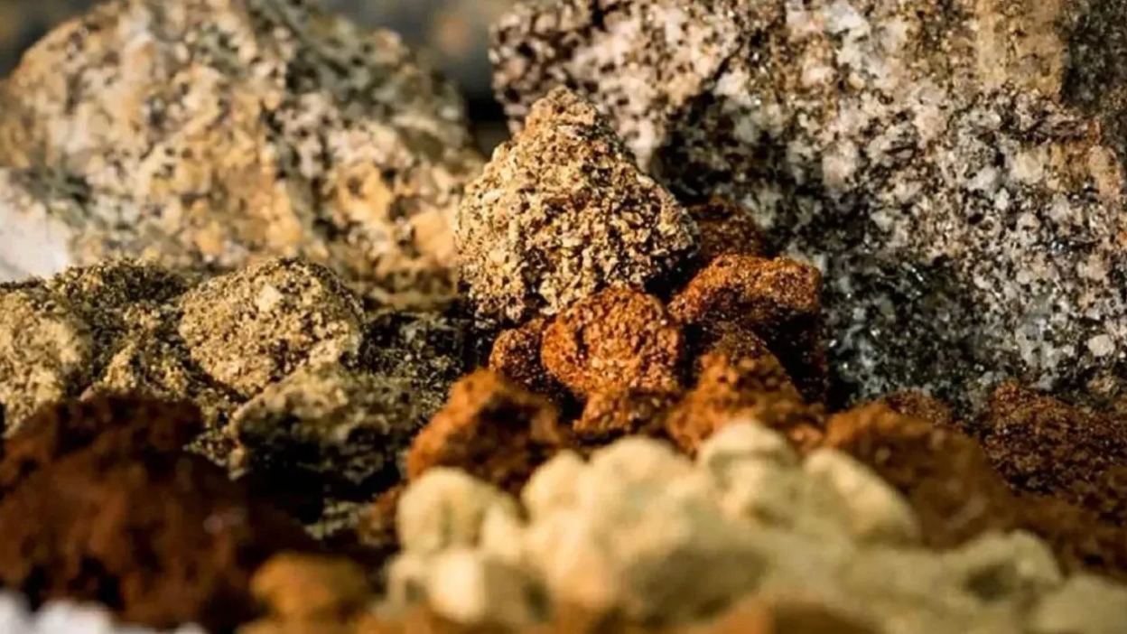 Tierras raras en Chile: plan a 12 meses de Chilean Cobalt acelera proyecto NeoRe y abre nuevo distrito
