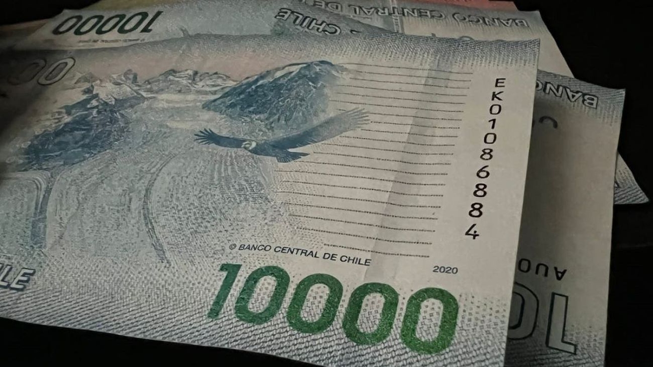 Todo sobre el Seguro de Cesantía en Chile: Protección y Requisitos para Trabajadores Desempleados