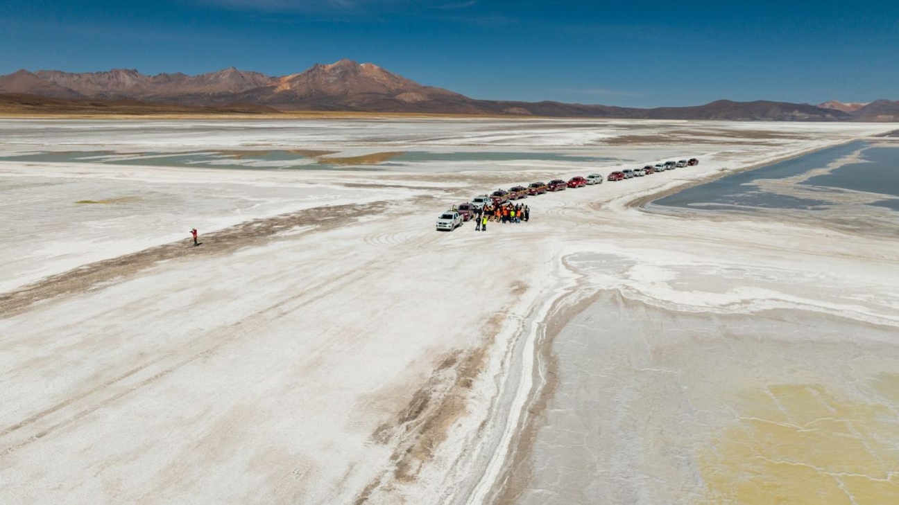 Tribunal Ambiental aprueba extracción controlada de Ulexita en Salar de Surire bajo estrictas medidas ambientales