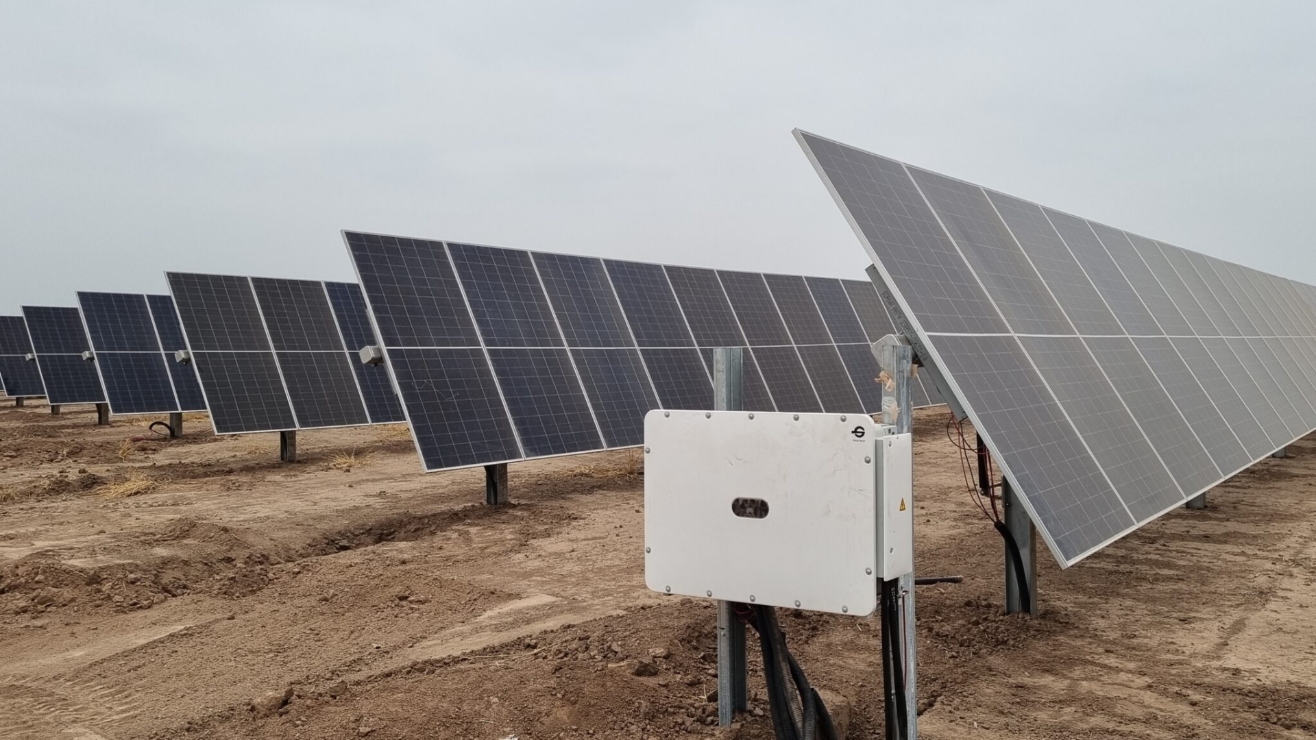 Trina Tracker se posiciona como el líder en trackers solares inteligentes en Argentina con más de 50% del mercado local en 2024