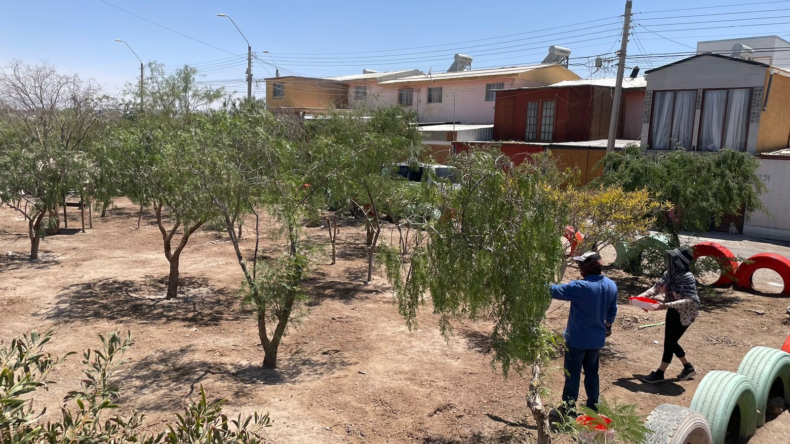 Voluntarios de Chuquicamata mejoran el parque de la Villa Nueva Oasis Norte de Calama