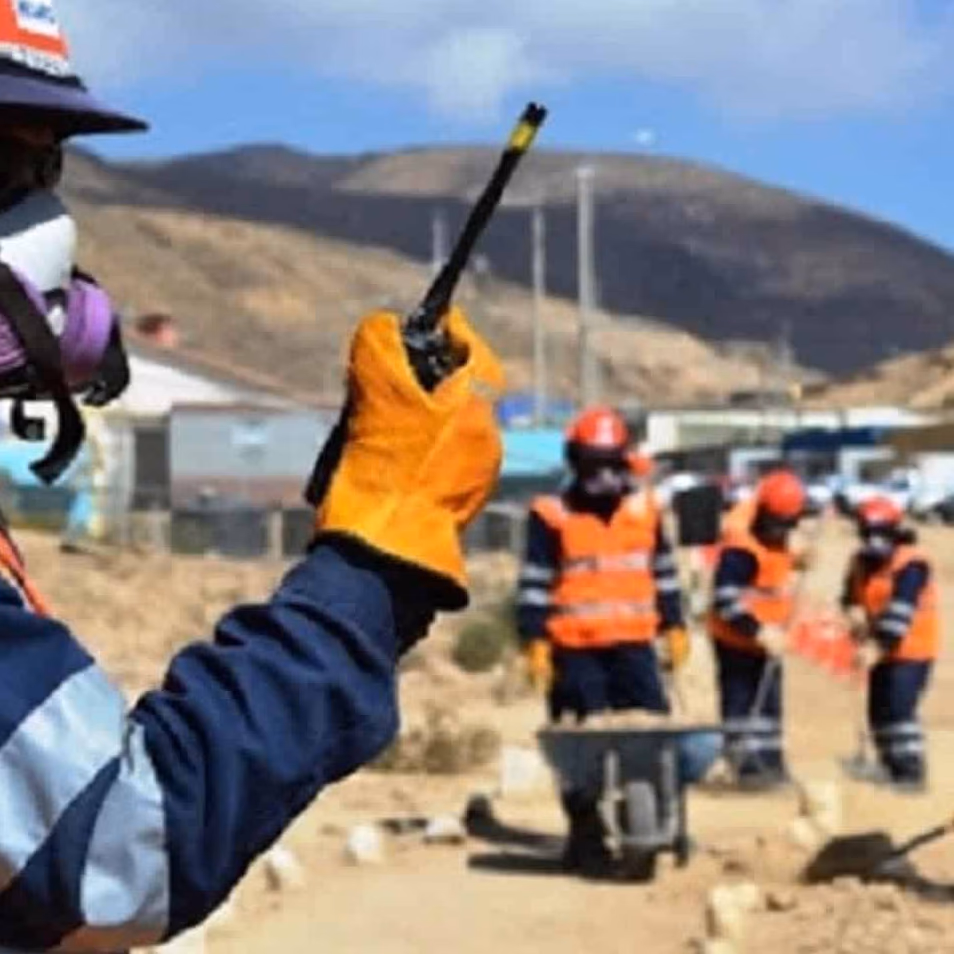 Campaña de Teck, «la mejor pega de chile» busca más de 1.000 trabajadores con o sin experiencia