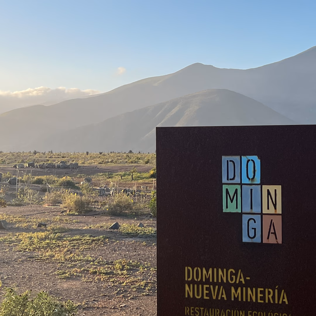 Comité de Ministros rechaza en forma unánime el proyecto minero Dominga