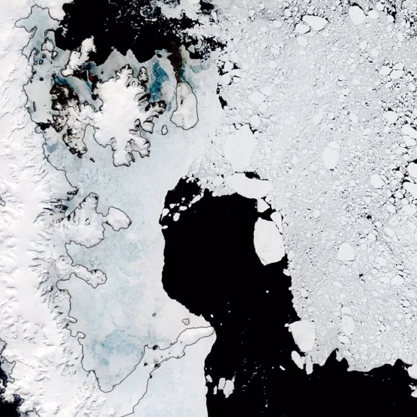Estudio revela un aumento del 160% en la contaminación por mercurio en la Península Antártica